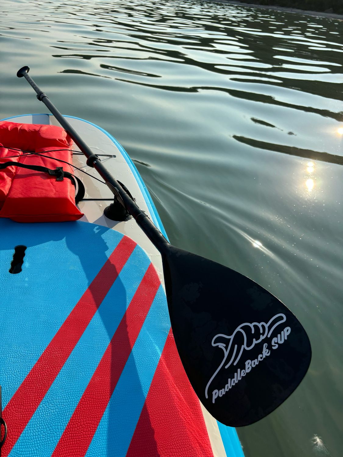 Movable Paddle Holder Paddle-Buddy